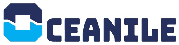 Actualités du web : explorez les indispensables d'oceanile